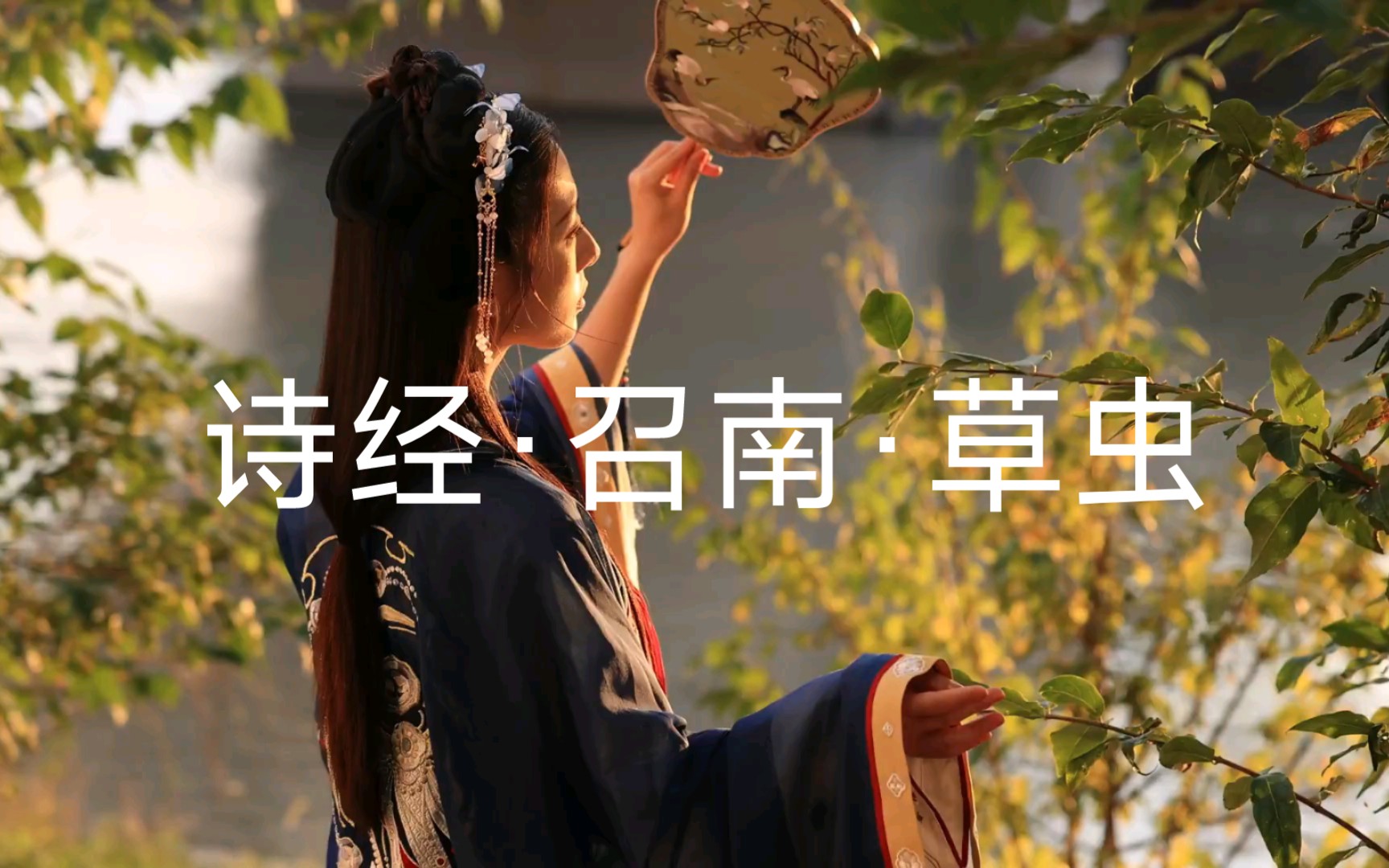 [图]诗经·召南·草虫：穿越千年的相思曲