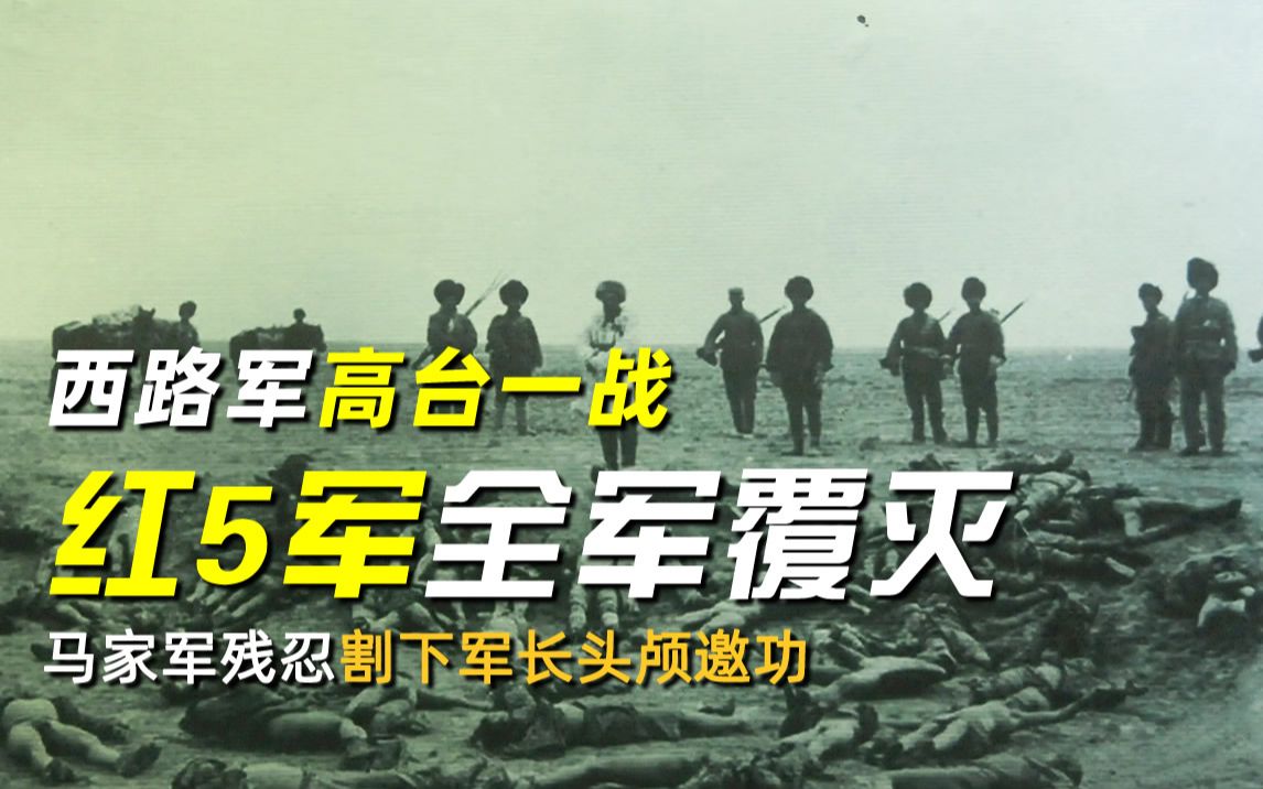 西路军高台一战,红5军全军覆灭,马家军残忍割下军长头颅邀功哔哩哔哩bilibili