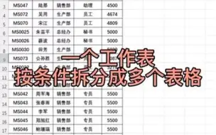 一个工作表按条件分成多个表格的方法