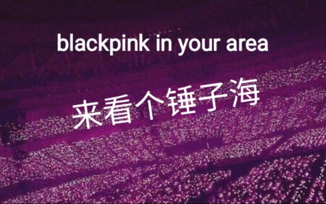 blackpink的粉锤海图片图片