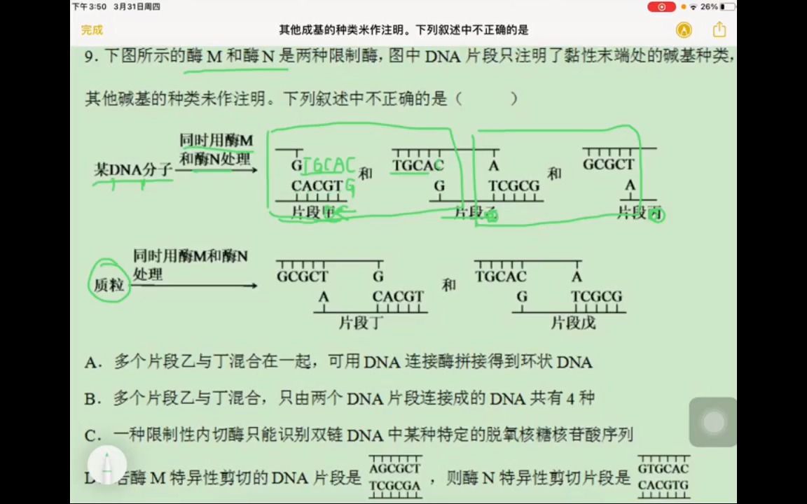 下图所示的酶M和酶N是两种限制酶,图中DNA片段只注明了黏性末端处的碱基种类,其他碱基的种类未作注明.下列叙述中不正确的是哔哩哔哩bilibili