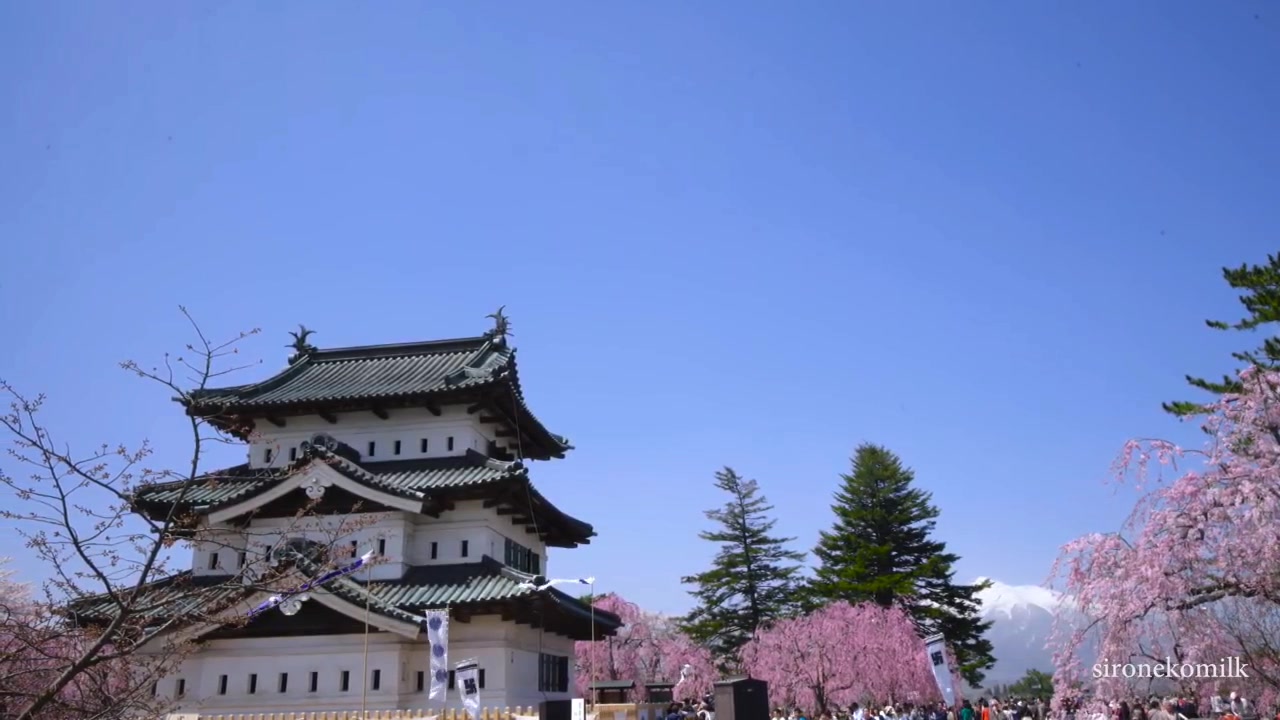 云游日本—日本最美的樱花名胜——青森县弘前公园