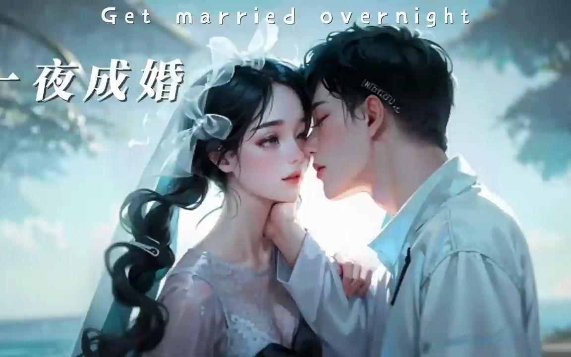 [图]《一夜成婚》一不小心睡了豪门大佬？甜宠 宠妻 爽文