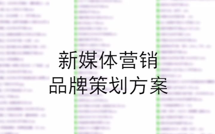 [图]新媒体营销规划品牌市场内容传播策划方案运营推广计划书