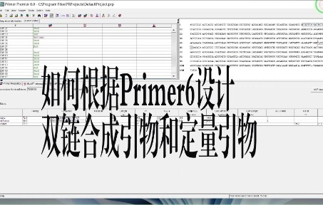如何根据Primer6设计双链合成引物和定量引物?及设计引物的规则哔哩哔哩bilibili