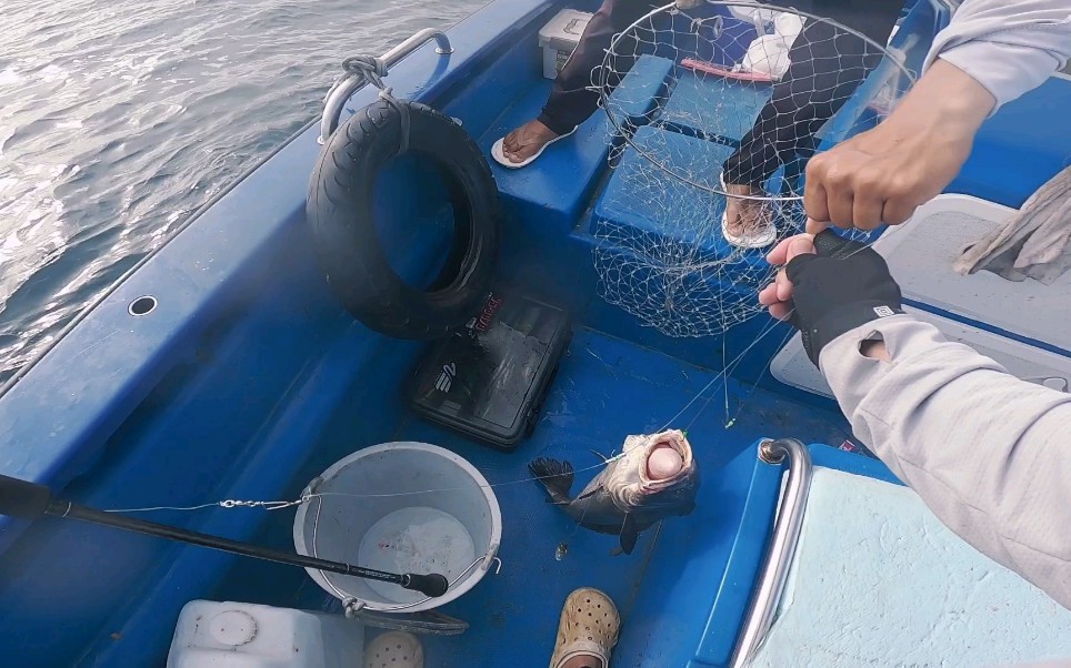 风车塔船钓鲶鱼,这拉力杠杠的_哔哩哔哩_bilibili