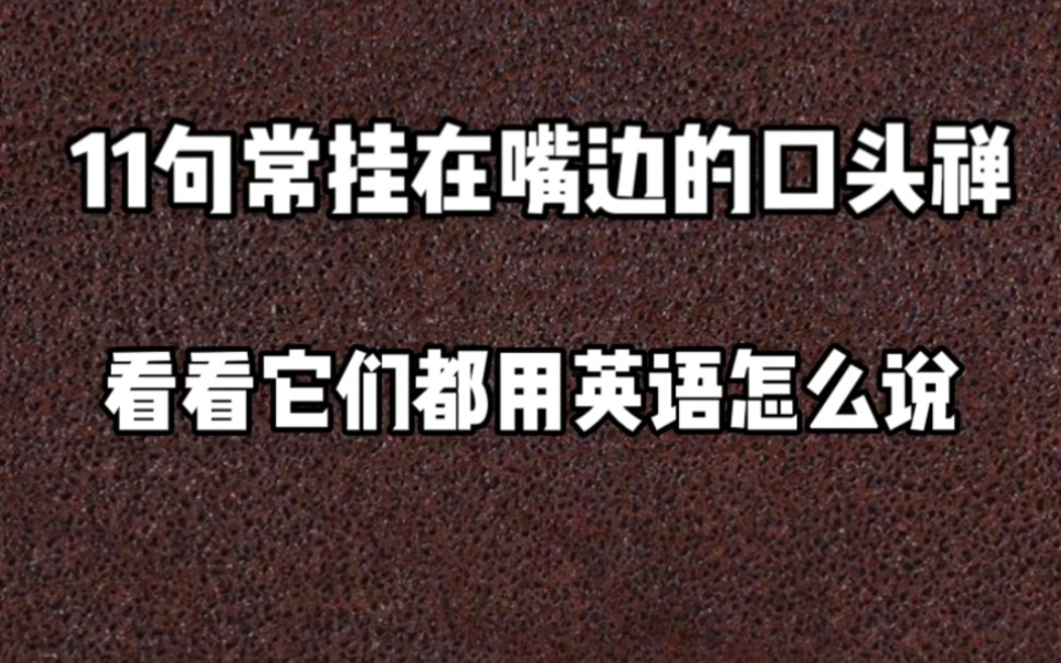 每日英语 11句常挂在嘴边的口头禅 看看它们都用英语怎么说哔哩哔哩bilibili