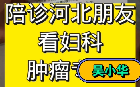 #吴小华 上海陪诊师,复旦大学附属肿瘤医院陪诊河北朋友,看妇科肿瘤专家吴小华 #妇科肿瘤 #上海陪诊哔哩哔哩bilibili