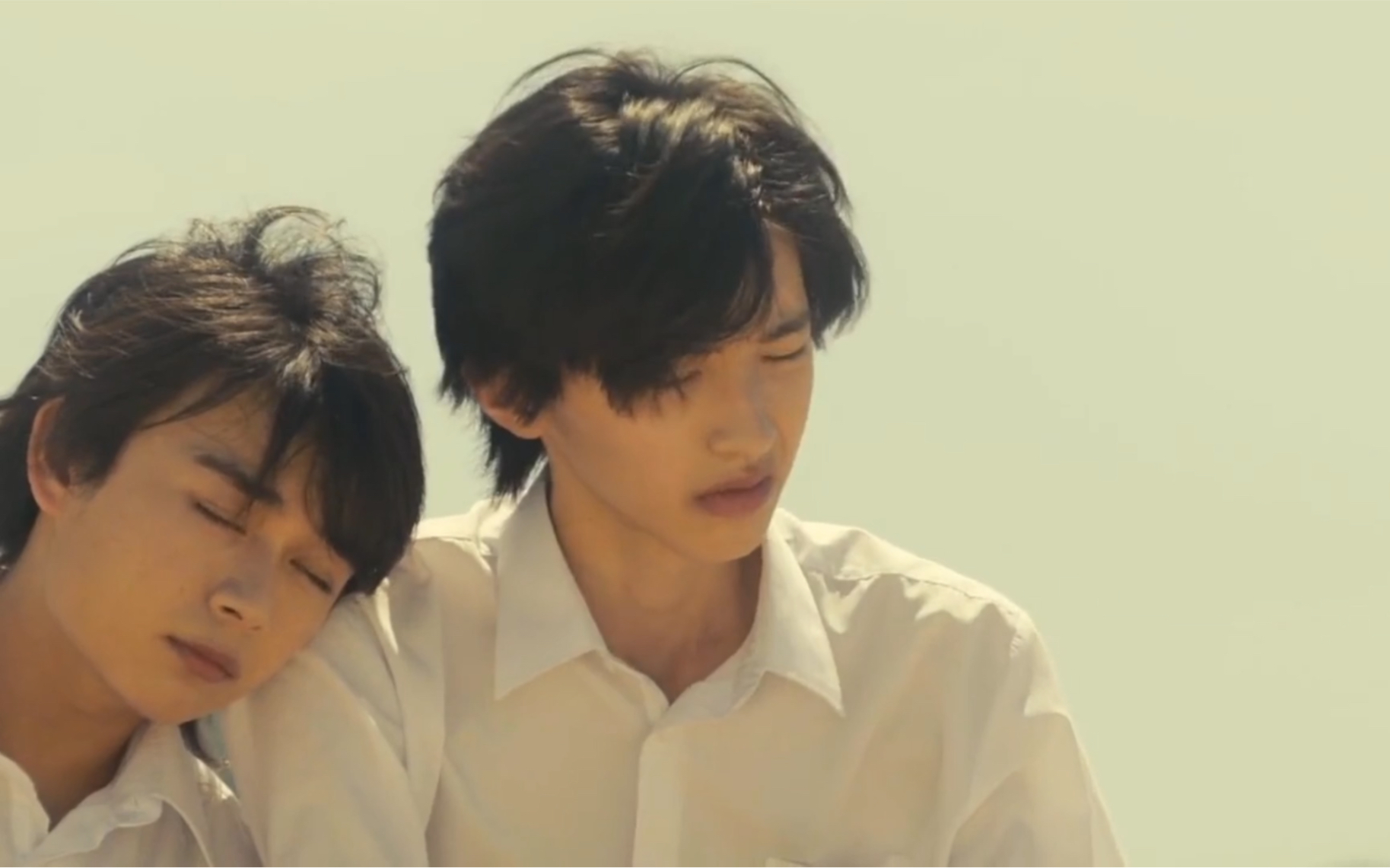 【型男高中】道枝骏佑x大西流星 这段也太可爱啦