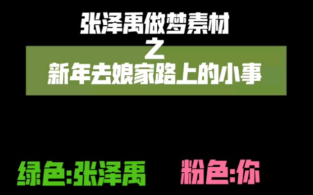 TF家族张泽禹做梦素材之新年去娘家路上的小事哔哩哔哩bilibili