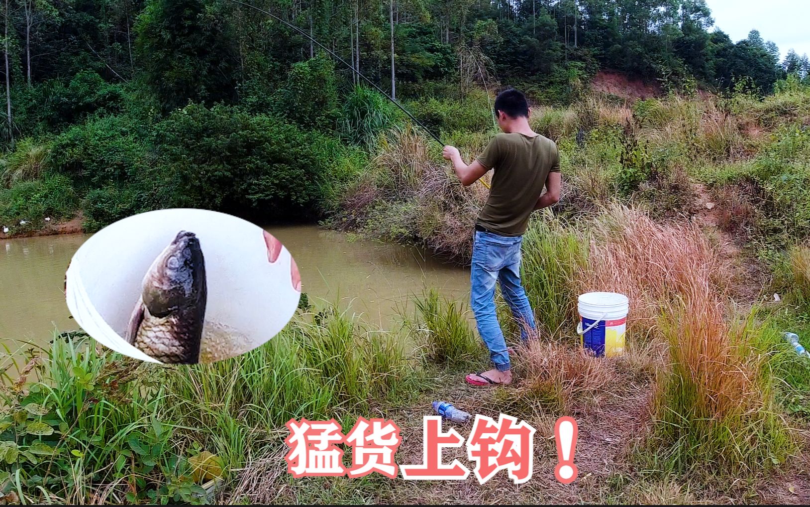 M仔野塘野钓,突遇“猛货”鱼竿都甩成两截了,什么鱼这么猛啊?哔哩哔哩bilibili