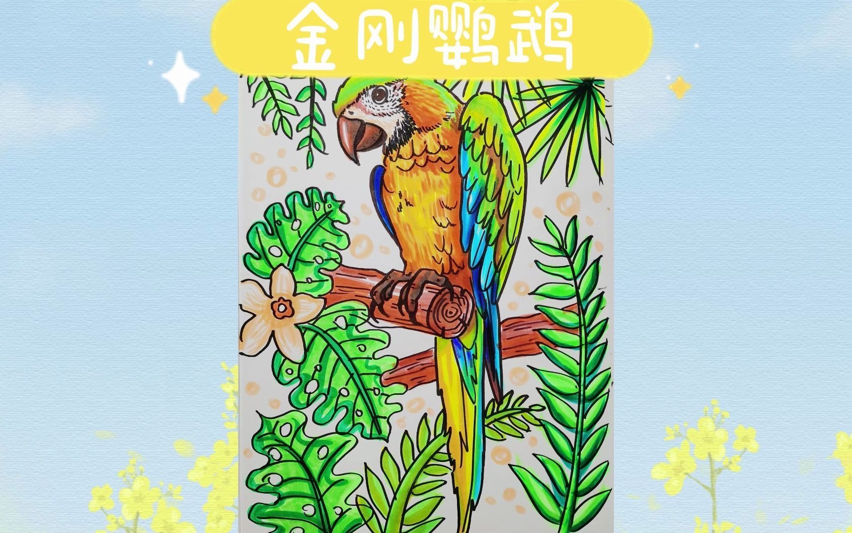 金刚鹦鹉简笔画