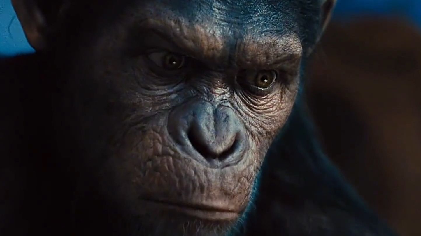 "来感受一下凯撒大帝的压迫感!