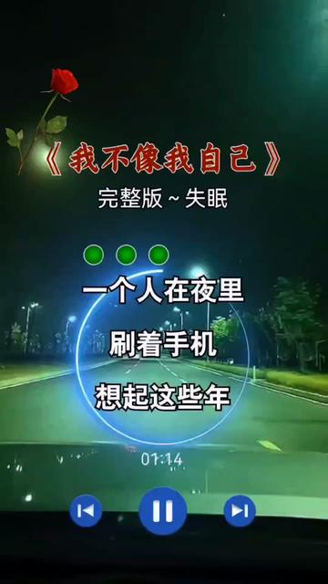 说不出的或许都在歌里 #夜已深人未眠 #伤感音乐#我不像我自己