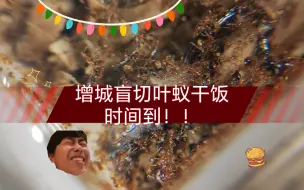 Скачать видео: 增城盲切叶蚁干饭时间到！！干饭啦~~~