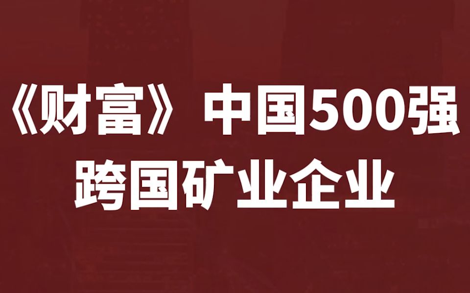 本期聊聊中国有色金属铅锌行业龙头企业【中金岭南】哔哩哔哩bilibili