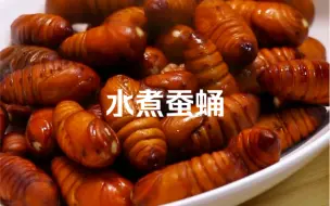 Download Video: #蚕蛹 最好吃的做法，我认为就是水煮，即营养又健康，还保留了原汁原味，家里有小朋友的一定要试试～#蚕蛹营养价值 #这是真正的硬菜