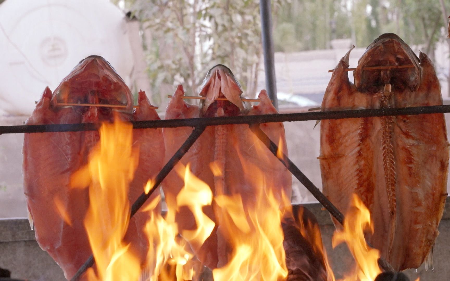 喀什美食烤鱼,用罗布人原始又狂野的古法去烤制,70块/公斤,一整条鱼郭