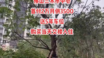 佛山三水首付2万地铁房,学区房哔哩哔哩bilibili