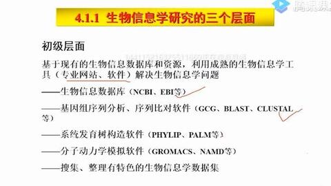 北林计算生物学基础 哔哩哔哩