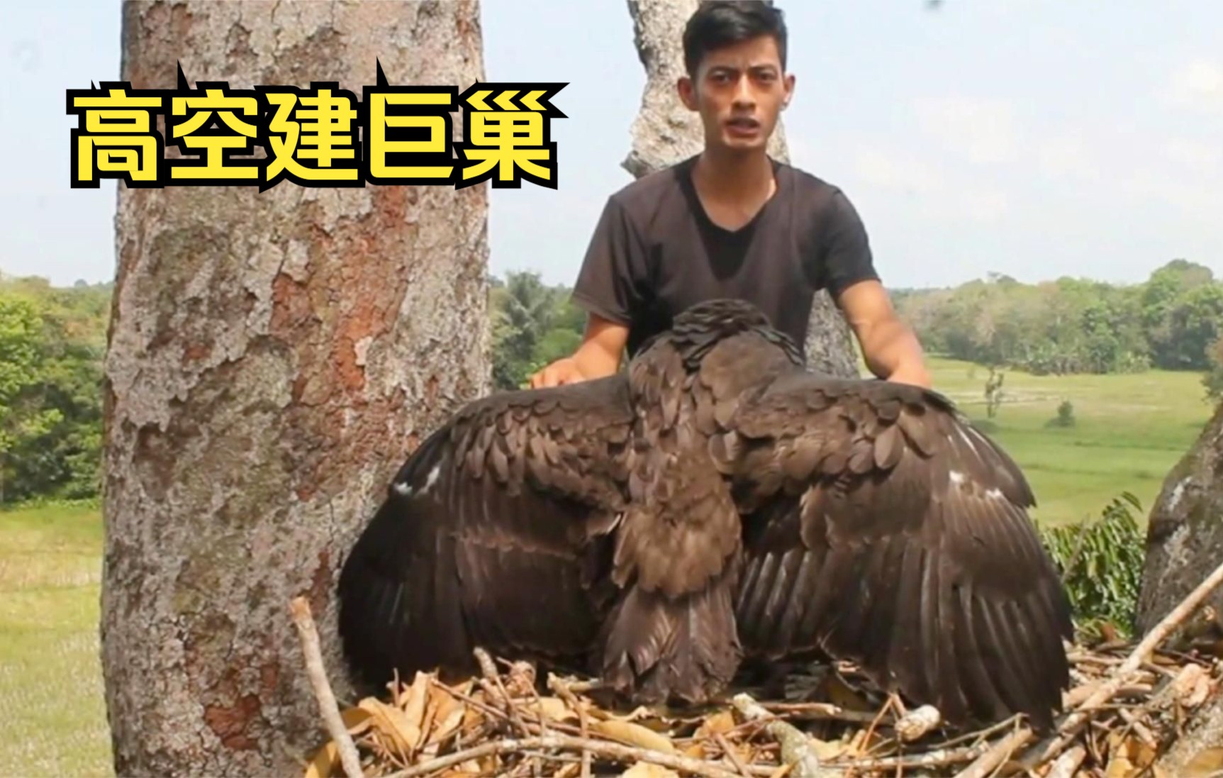 小伙对鸟巢疯狂痴迷,经常爬树与鸟为伴,最后为自己在高空建巨巢哔哩哔哩bilibili