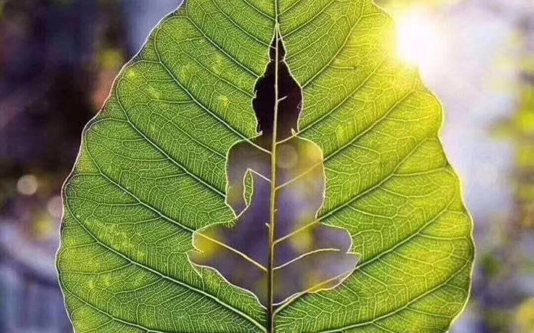 金钱吸引力法则猛烈的把丰盛能量推给你不可思议无法想象的金钱突然