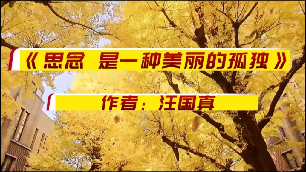 《思念是一种美丽的孤独》汪国真