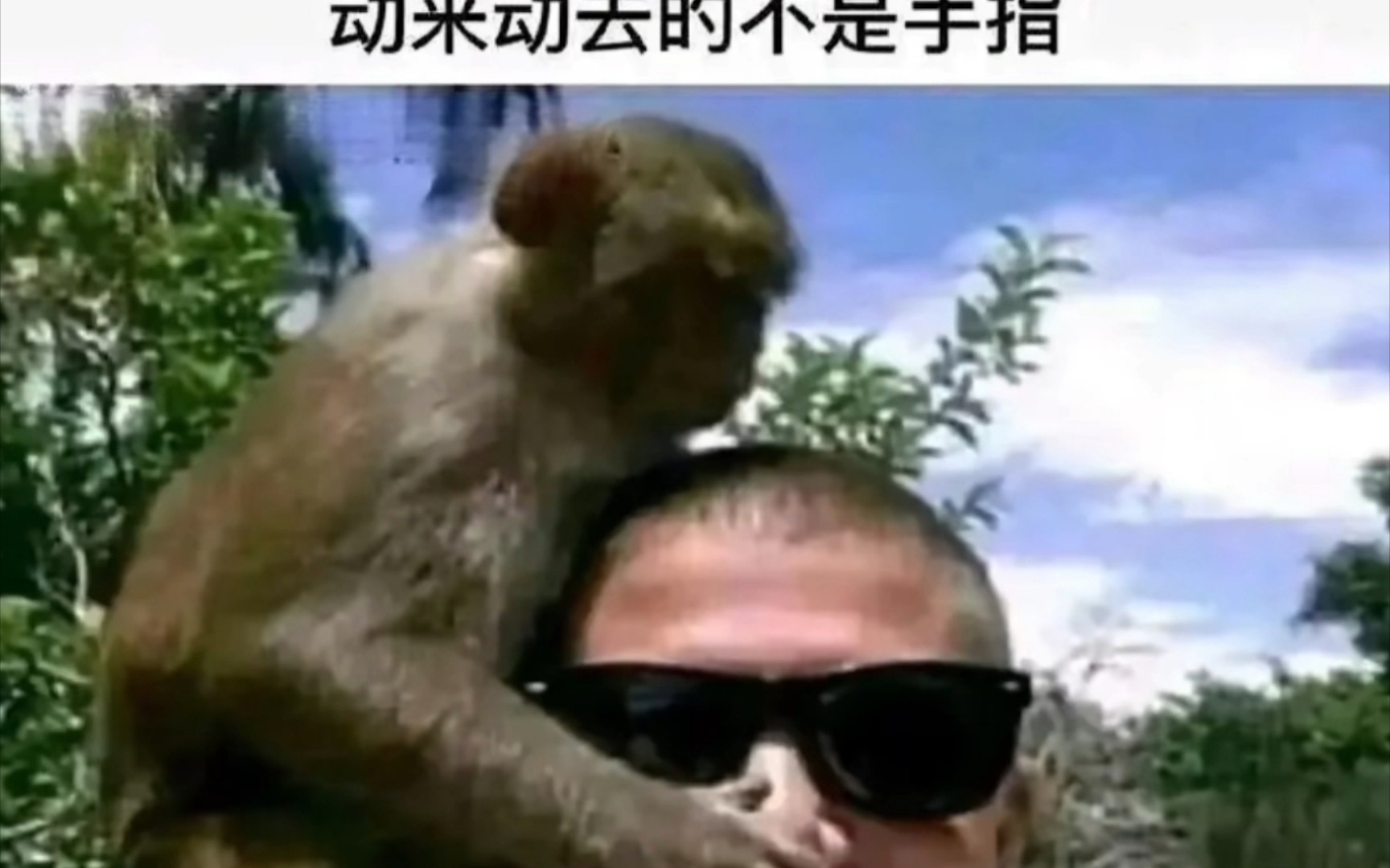 屌图一堆第18期