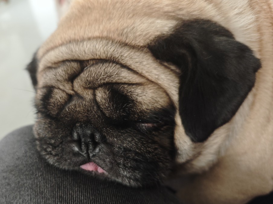 睡眼惺忪的小宝宝,好可爱