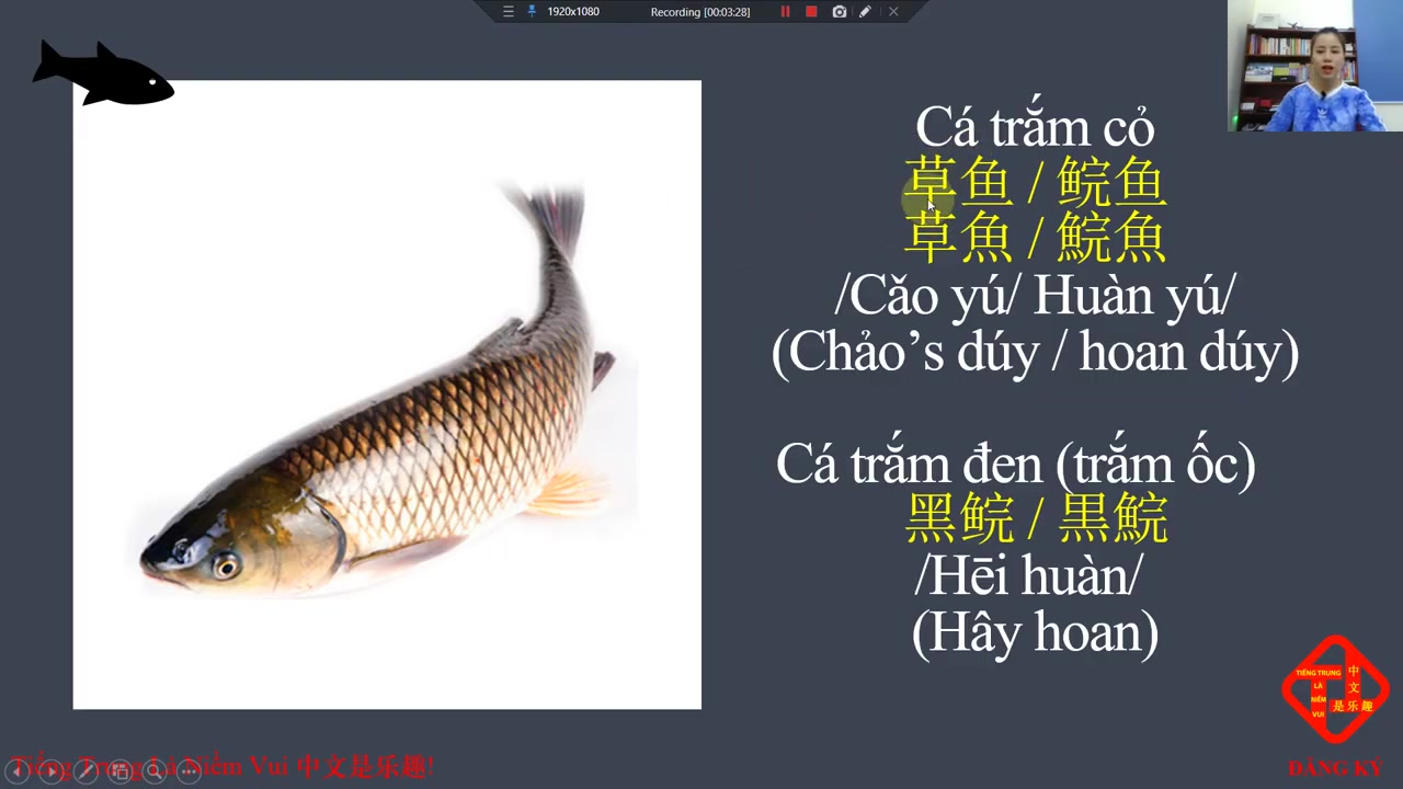 [图]越南人学习中文教程: Các loại cá ở Trung Quốc-Vui vẻ vừa phải