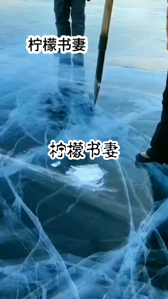 柠檬书妻哔哩哔哩bilibili