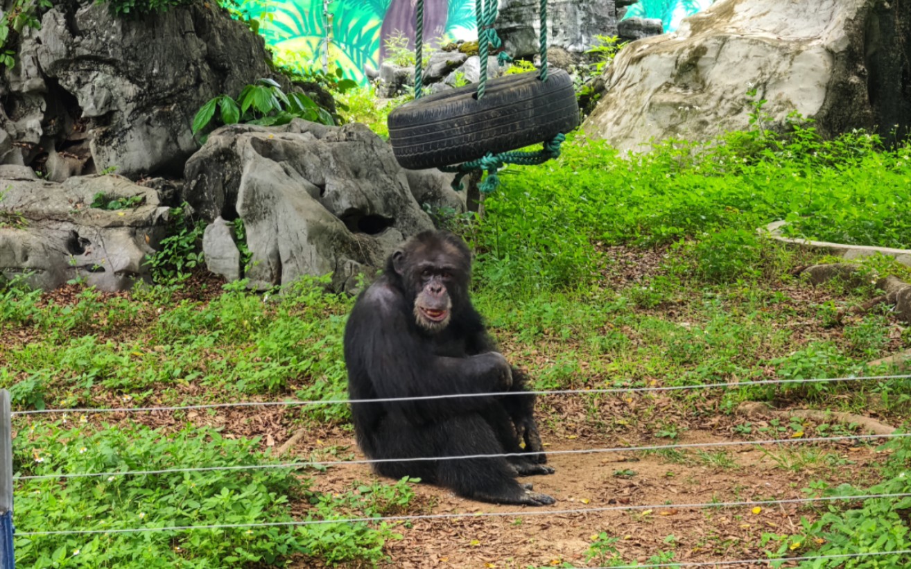 南宁动物园,与他发癫的动物们