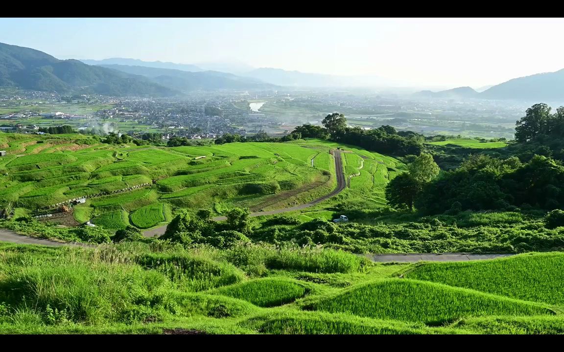 视频素材 ▏k1548 宁静乡村农业水稻稻田麦穗禾苗梯田农村宣传和谐学校幼儿园小学诗歌朗诵比赛大自然景色大屏幕舞台LED背景实拍视频素材哔哩哔哩...