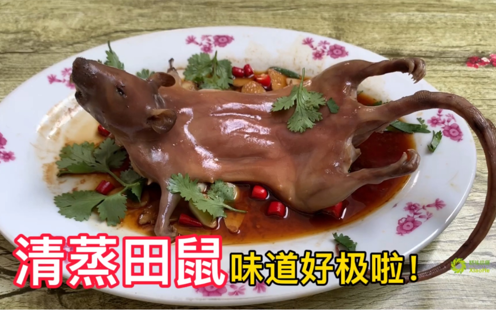 广西小伙做一道"清蒸田鼠",味道好极啦!看着我口水直流