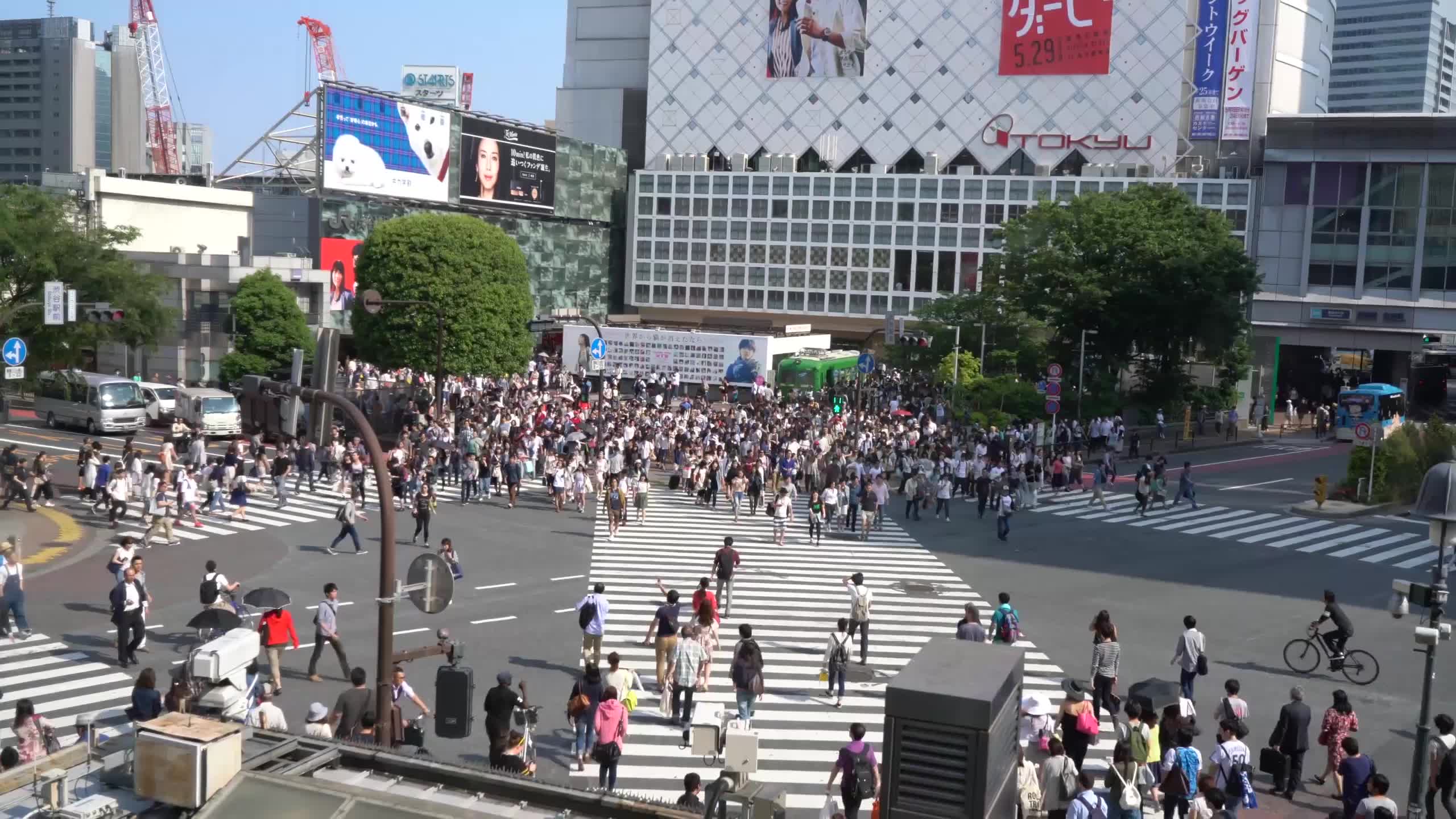 东京新宿的十字路口 忙碌的东京人 电影 52movs Com