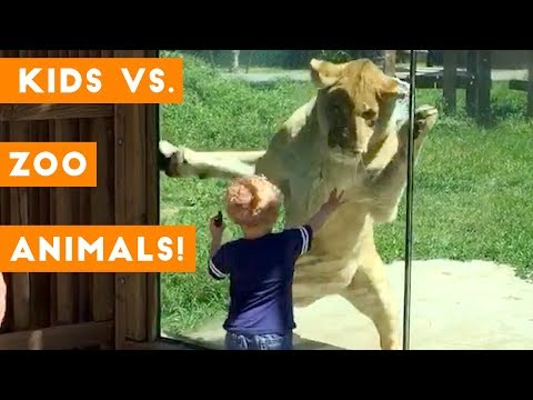 [图]Cutest Kids VS Zoo Animals Ultimate Funny Compilation 2018 | Funny Pet Videos