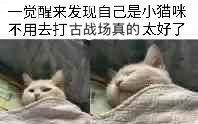 碧蓝幻想火团火老王fa95 3分台内 更新武僧2分40哔哩哔哩bilibili