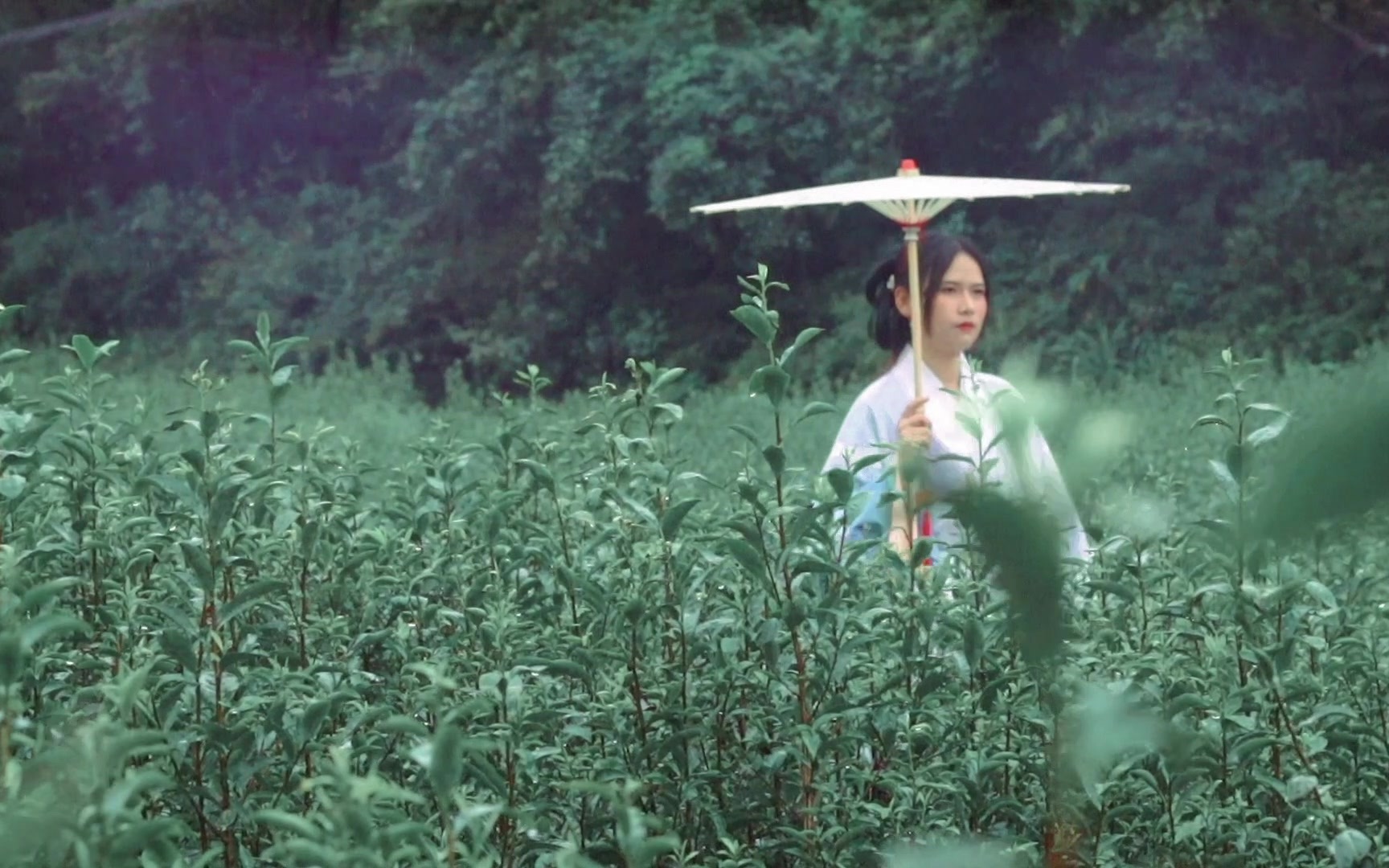 [图]江南有烟雨，台风天在大茶山上拍的，不要问为什么妹子会愿意出来拍，因为是她约的我