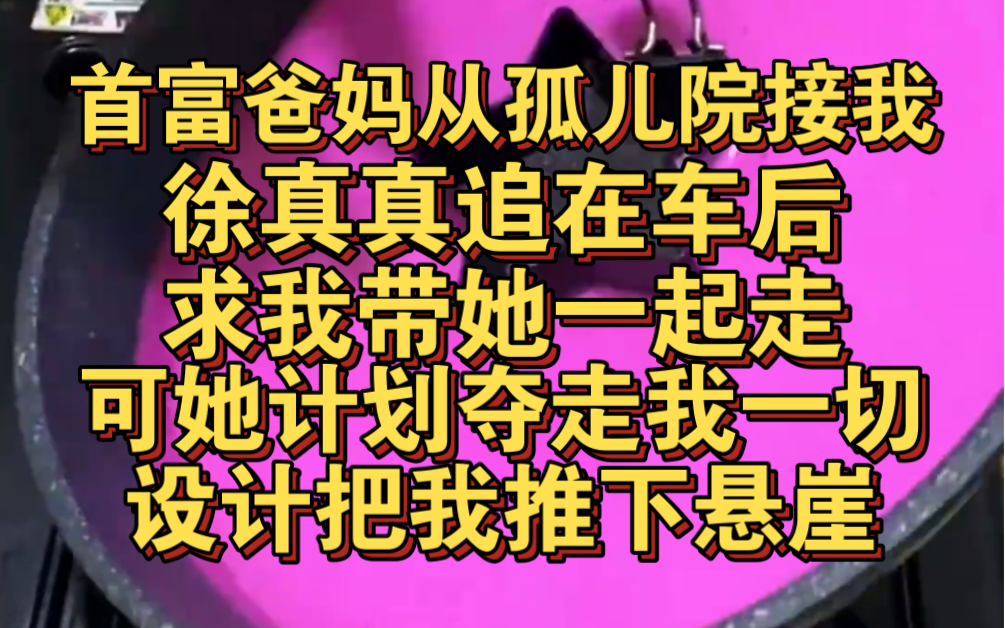 首富爸妈从孤儿院接我时,徐真追在车后求我带她一起走哔哩哔哩bilibili