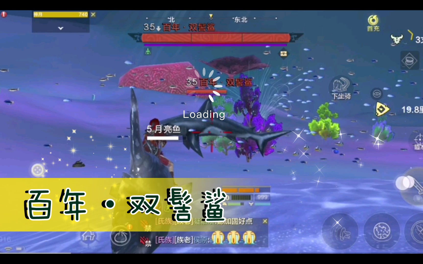 【妄想山海】百年61双髻鲨_哔哩哔哩_bilibili