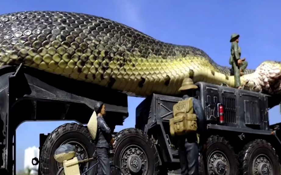 最大的蟒蛇巨蟒图片