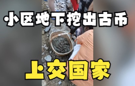 浙江金华一小区挖出大量宋代古钱币遭哄抢,官方发文要求市民及时上缴哔哩哔哩bilibili