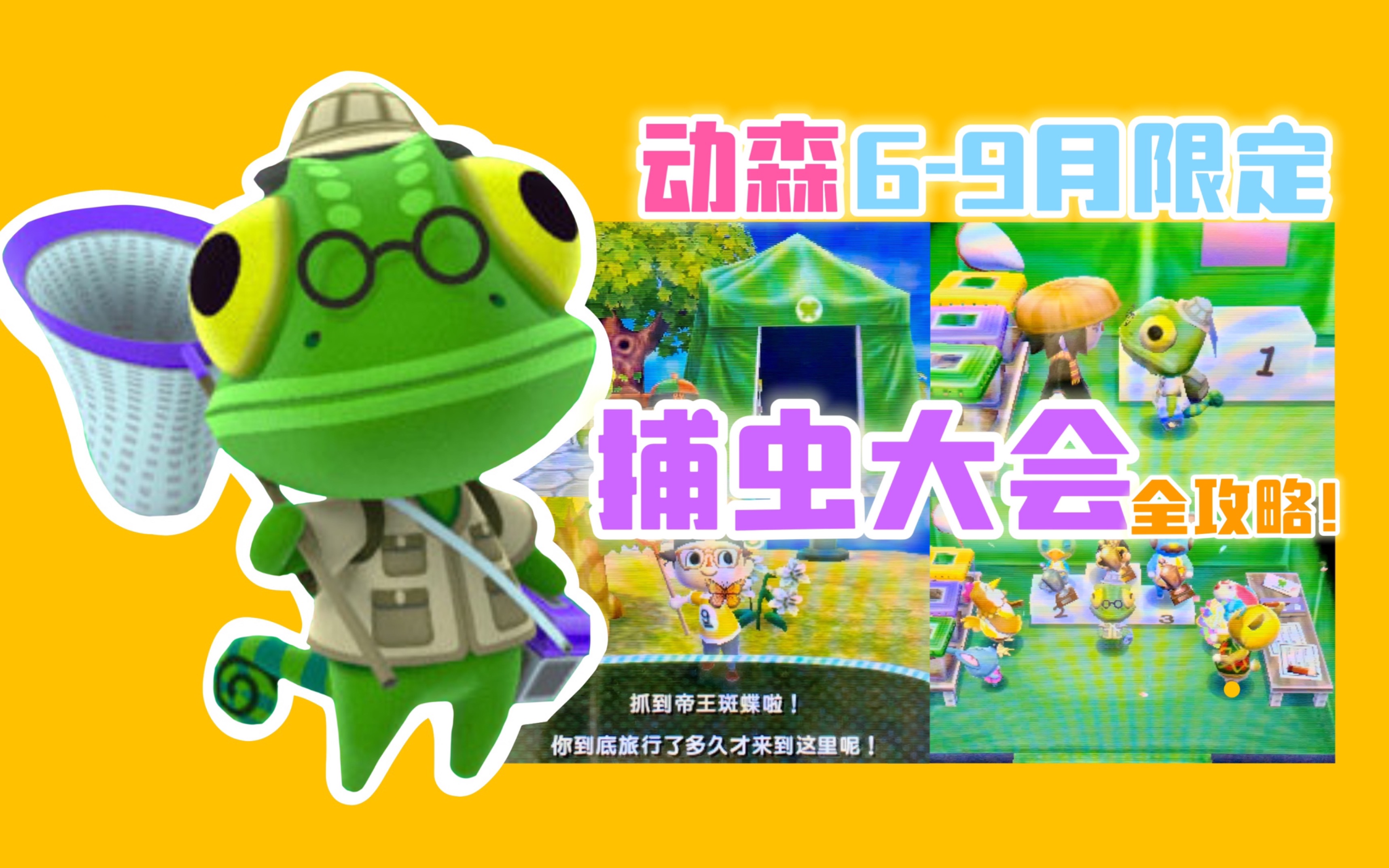 【3ds动物之森】6-9月 捕虫大会!全攻略!