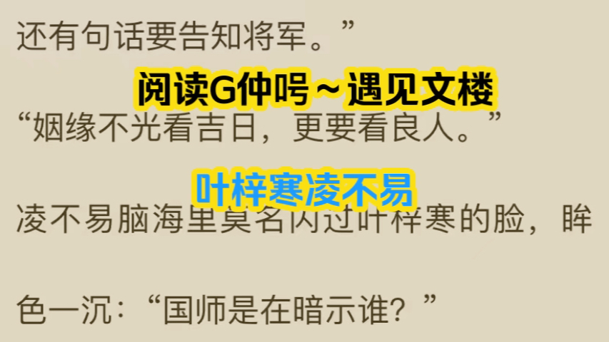 言情小说推荐《叶梓寒凌不易》叶梓寒凌不易哔哩哔哩bilibili