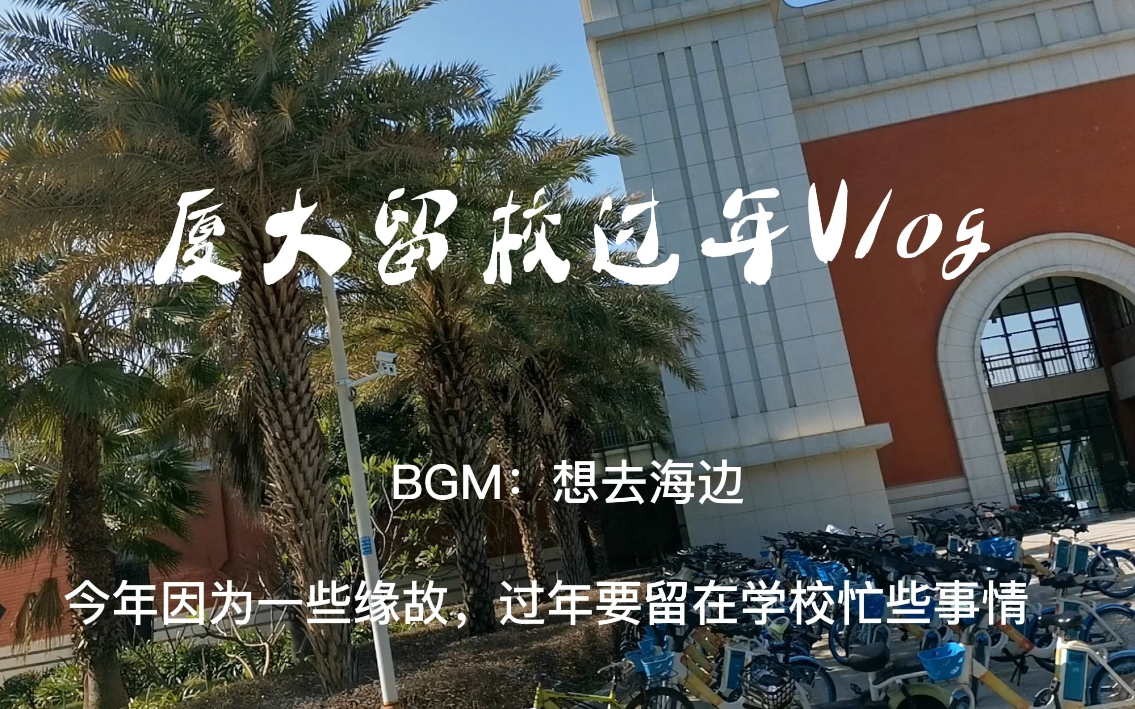 [图]厦大寒假留校Vlog