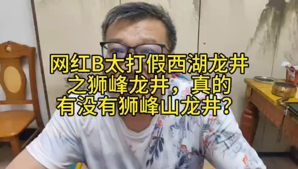 网红B太打假西湖龙井之狮峰龙井,真的市场上有没有狮峰山龙井?哔哩哔哩bilibili