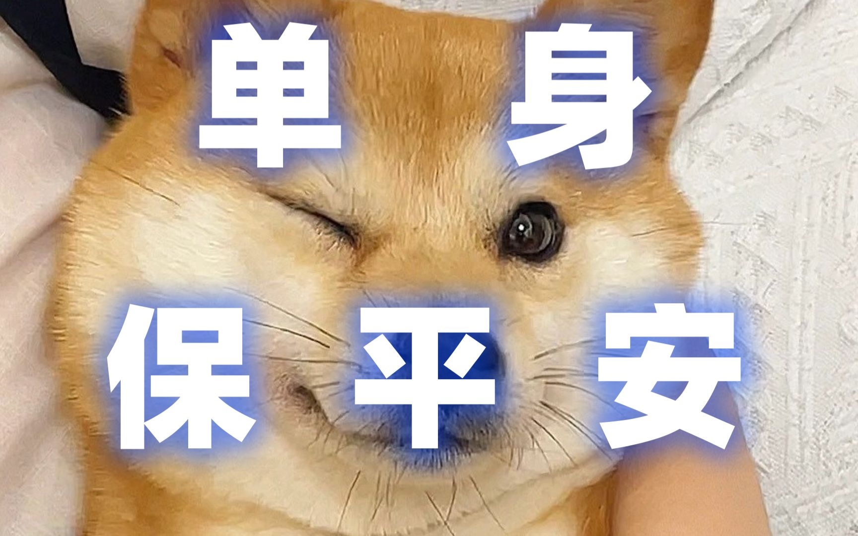 "单身保平安"