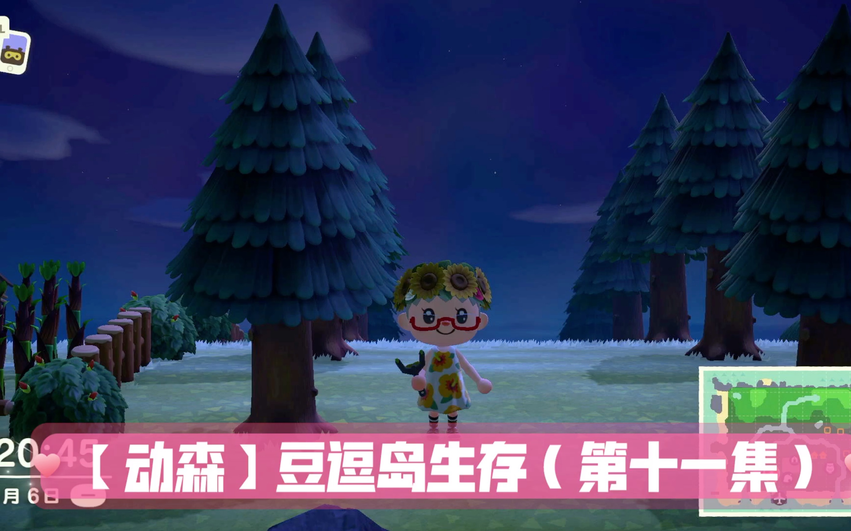 动森豆逗岛生存第十一集