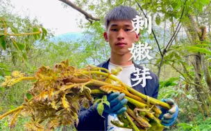 Скачать видео: 野菜之王刺老包