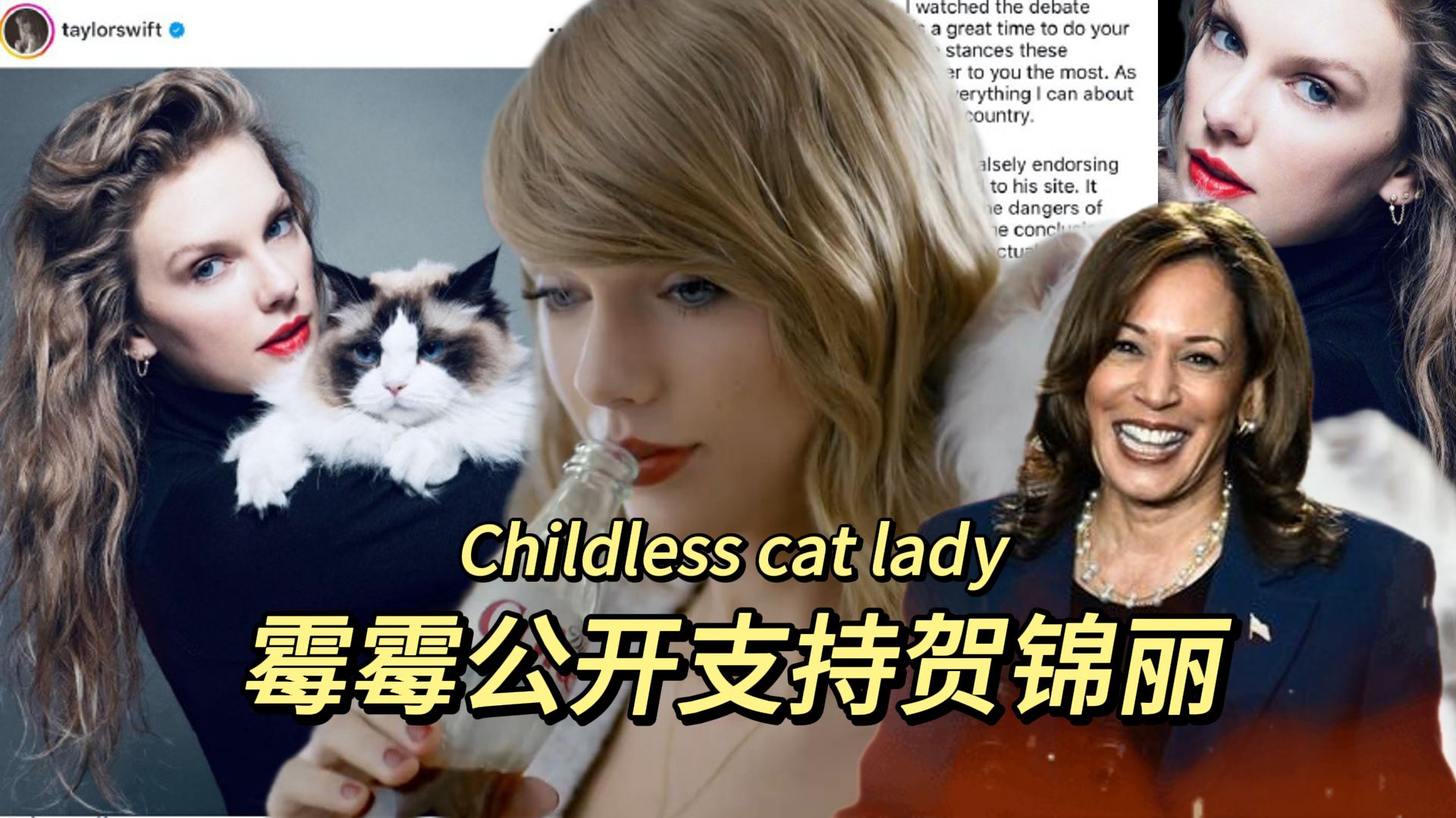 【霉霉】泰勒斯威夫特公开支持Kamala Harris贺锦丽竞选总统!并且署名“Childless cat lady”没孩子的养猫女子!哔哩哔哩bilibili